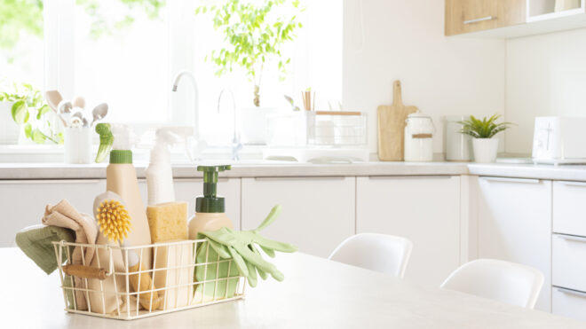 spring cleaning steam cleaner