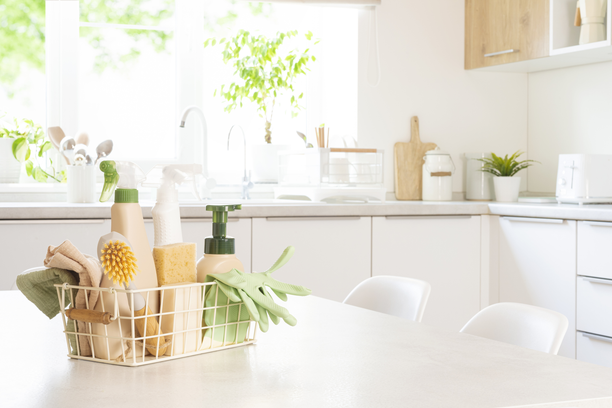 spring cleaning steam cleaner