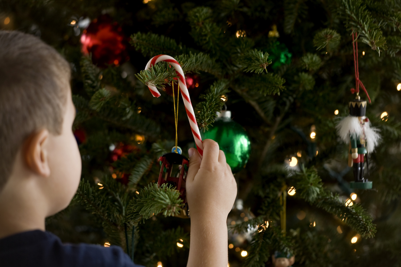 Boy holding a candy cane by a Christmas tree